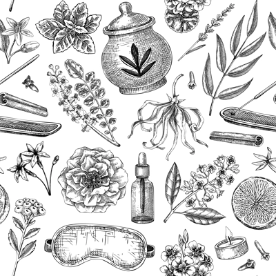 Aromatherapy background design. Welness seamless pattern. Aromatic herbs, fruits, floral sketches. Self care hand drawn vector illustration. Not AI generated